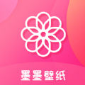 菠萝加速器