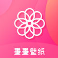 极光梯子app