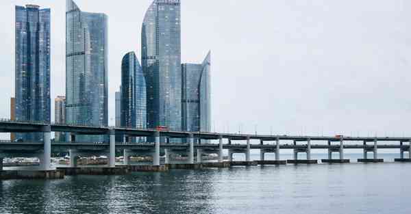 免费ssr香港二维码