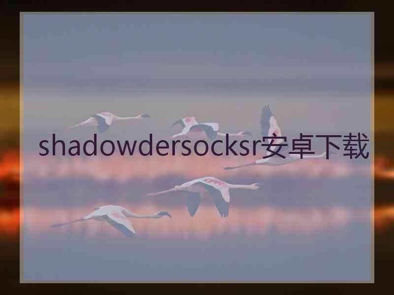 shadowdersocksr安卓下载