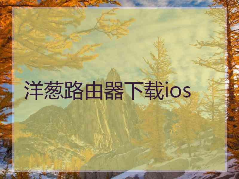 洋葱路由器下载ios